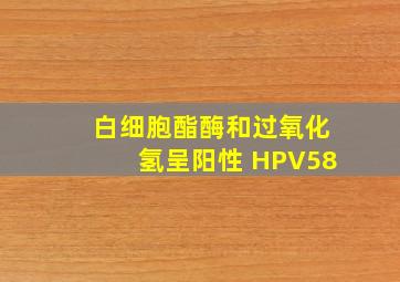 白细胞酯酶和过氧化氢呈阳性 HPV58